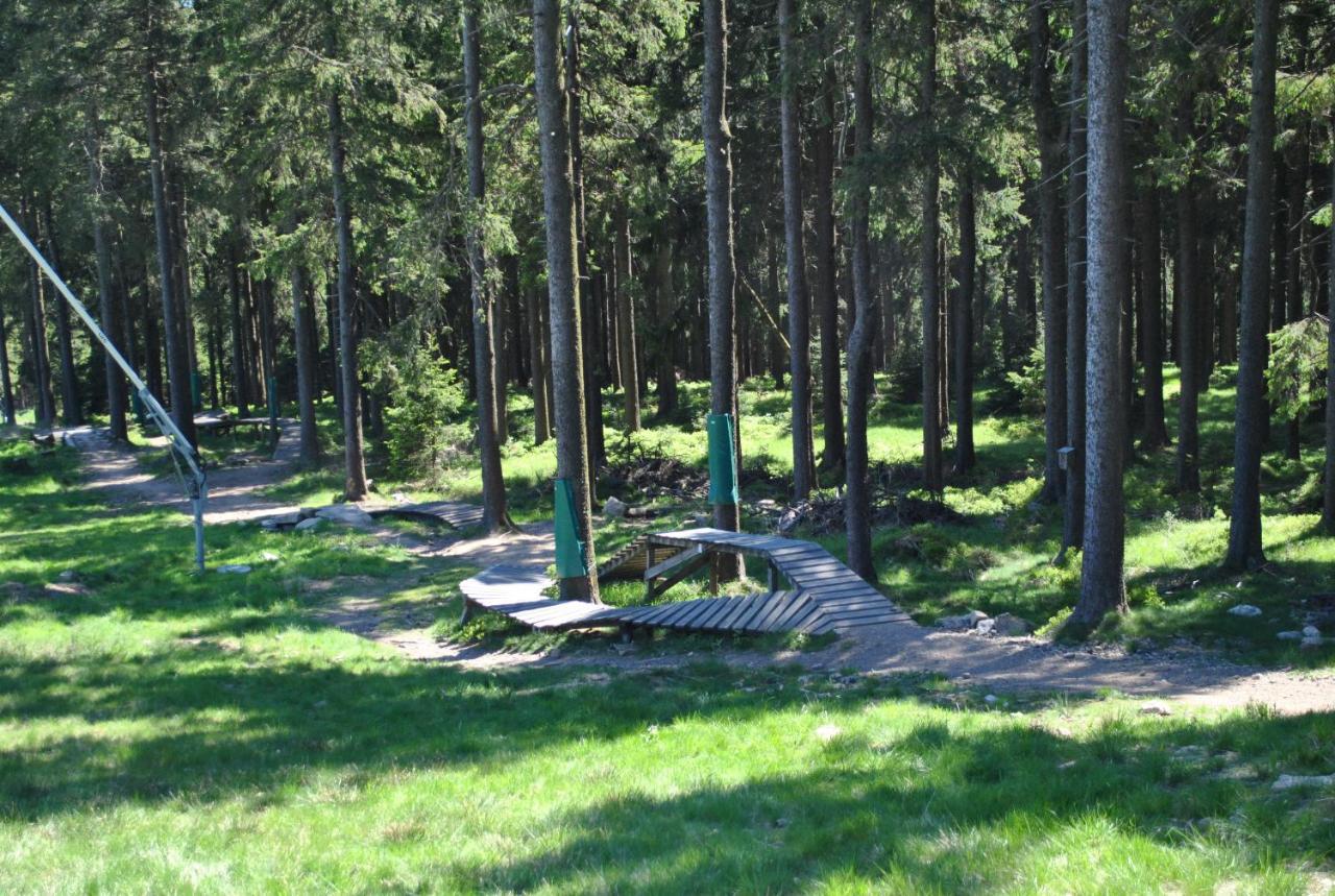 Harz-Rose Apartment Braunlage Ngoại thất bức ảnh