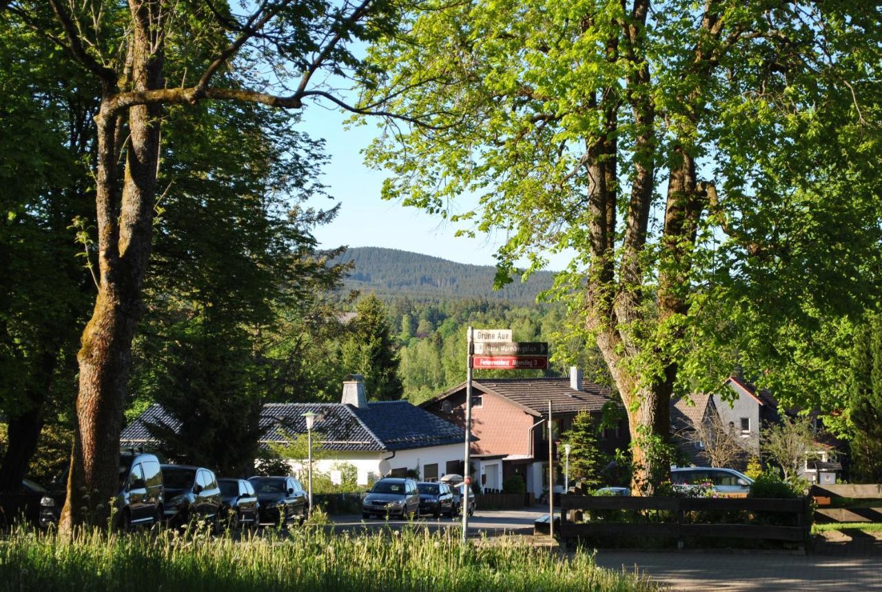 Harz-Rose Apartment Braunlage Ngoại thất bức ảnh