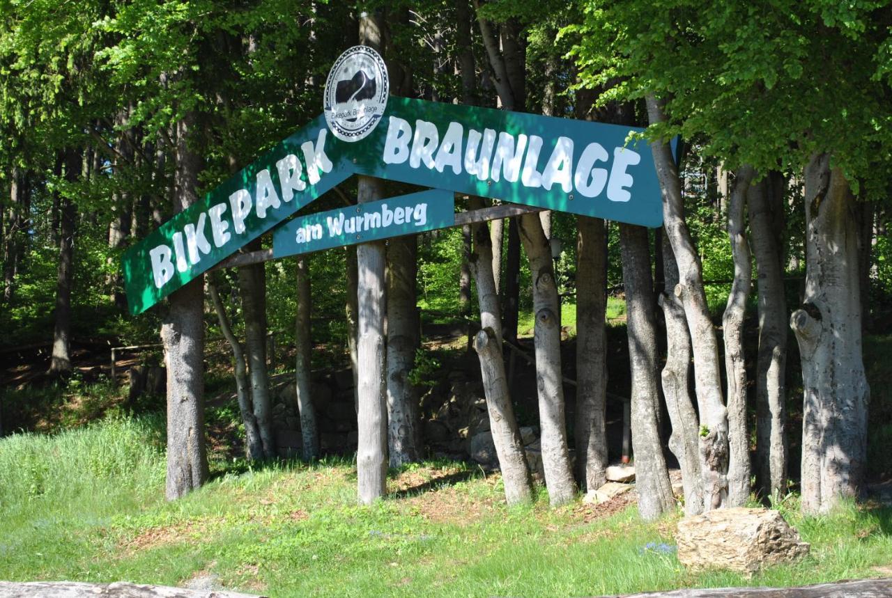 Harz-Rose Apartment Braunlage Ngoại thất bức ảnh