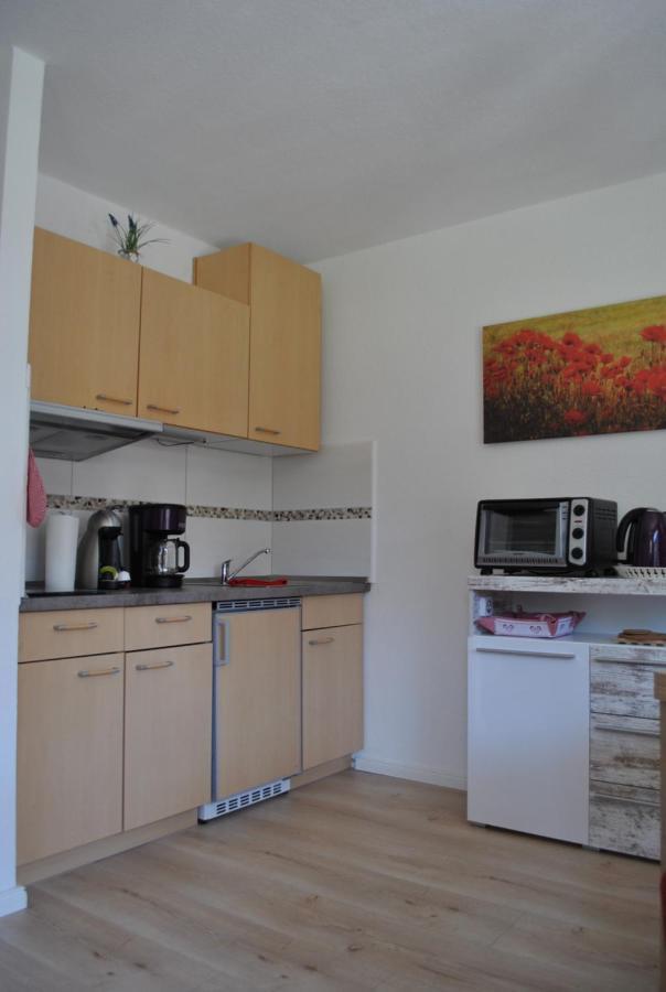 Harz-Rose Apartment Braunlage Ngoại thất bức ảnh