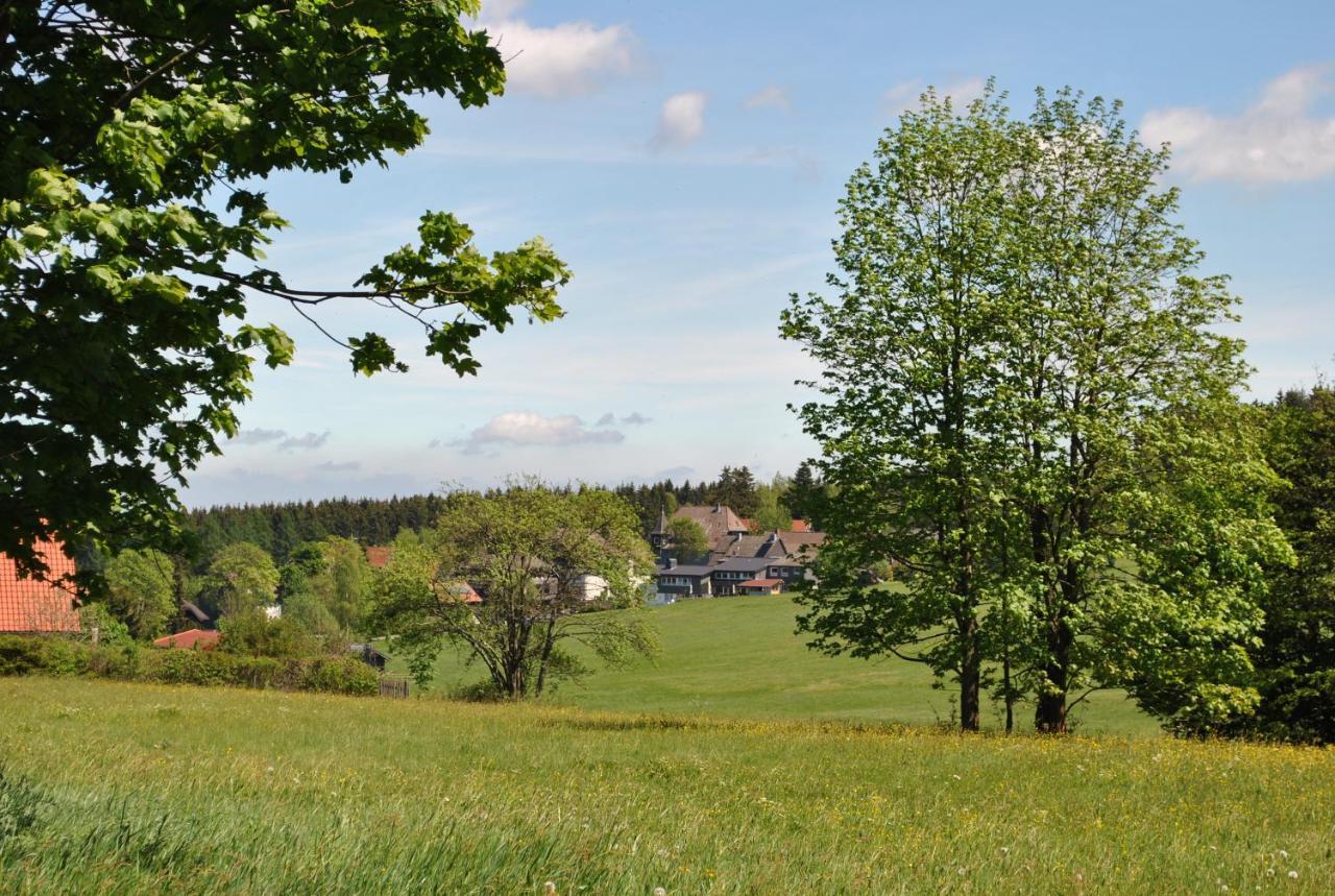 Harz-Rose Apartment Braunlage Ngoại thất bức ảnh