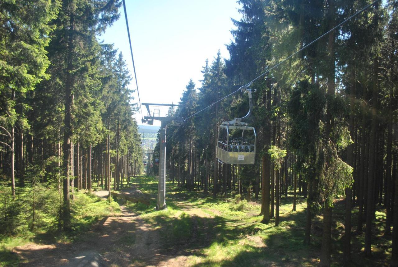 Harz-Rose Apartment Braunlage Ngoại thất bức ảnh