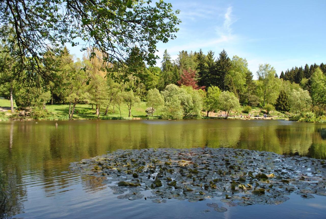 Harz-Rose Apartment Braunlage Ngoại thất bức ảnh