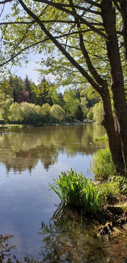Harz-Rose Apartment Braunlage Ngoại thất bức ảnh