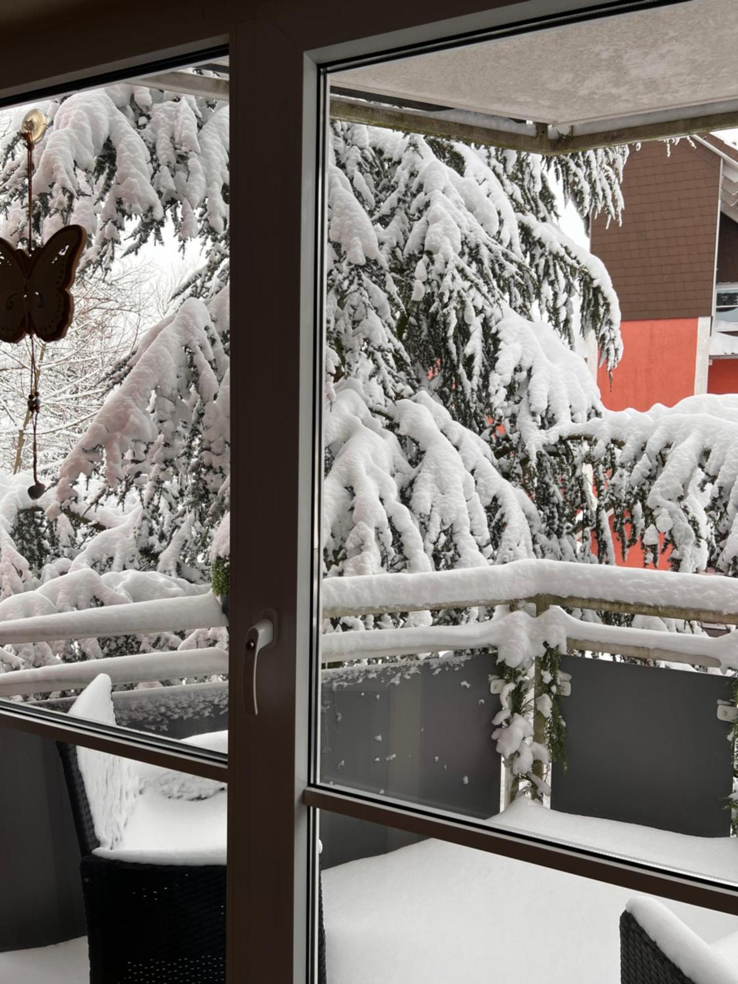 Harz-Rose Apartment Braunlage Ngoại thất bức ảnh