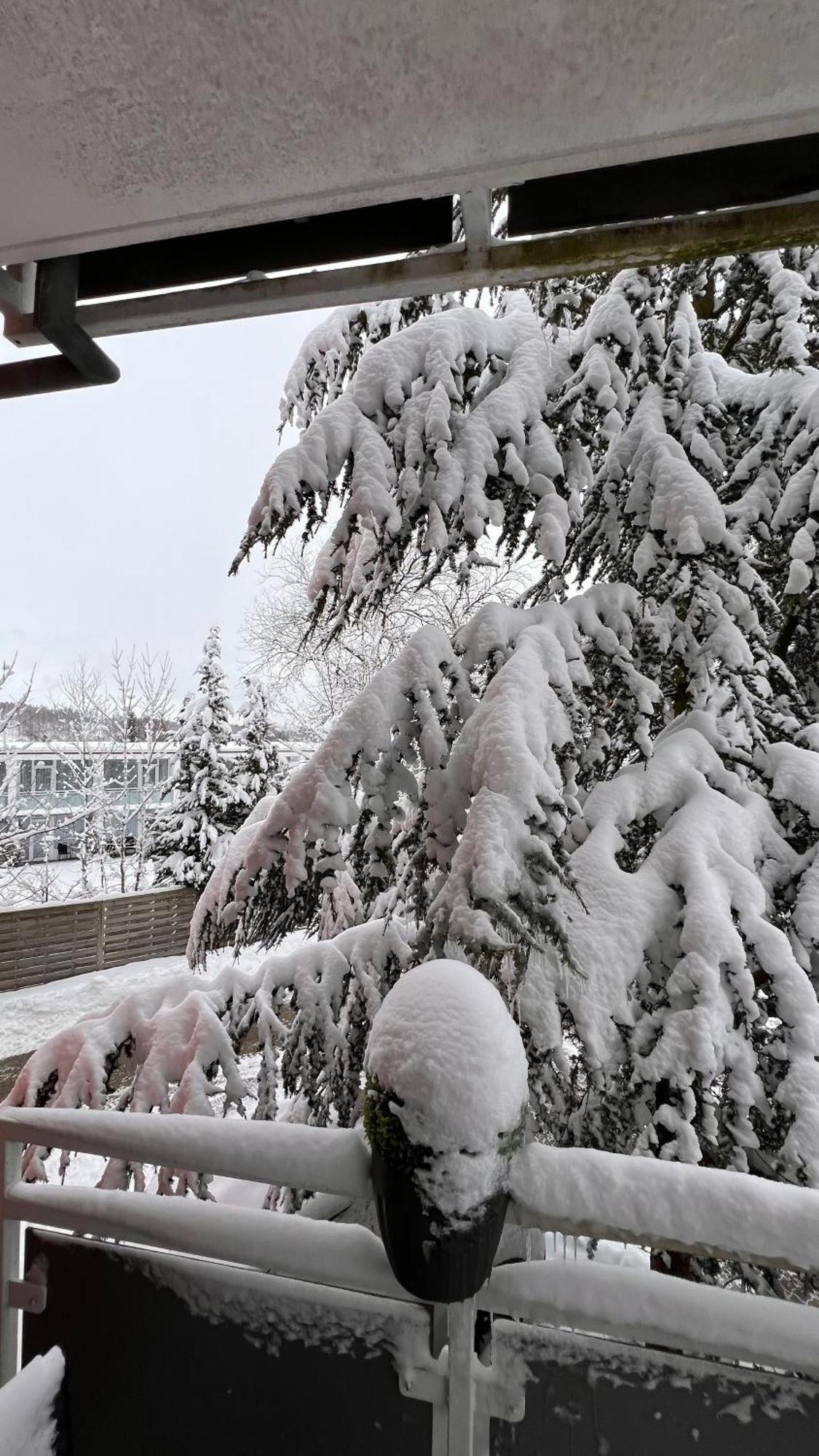 Harz-Rose Apartment Braunlage Ngoại thất bức ảnh